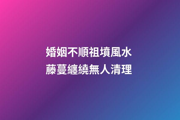 婚姻不順祖墳風水 藤蔓纏繞無人清理
